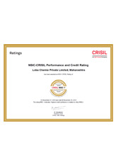 CRISIL MSE 1 Rating Performance & Credit Rating